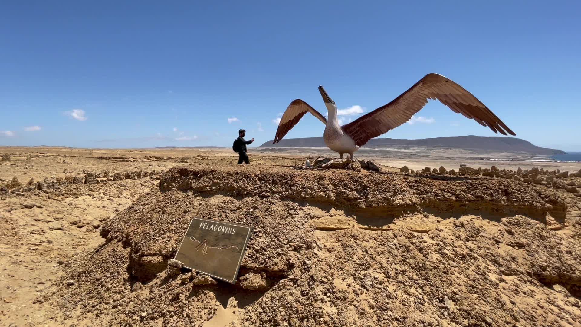 Desierto de Atacama, un laboratorio paleontológico de interés mundial en Chile