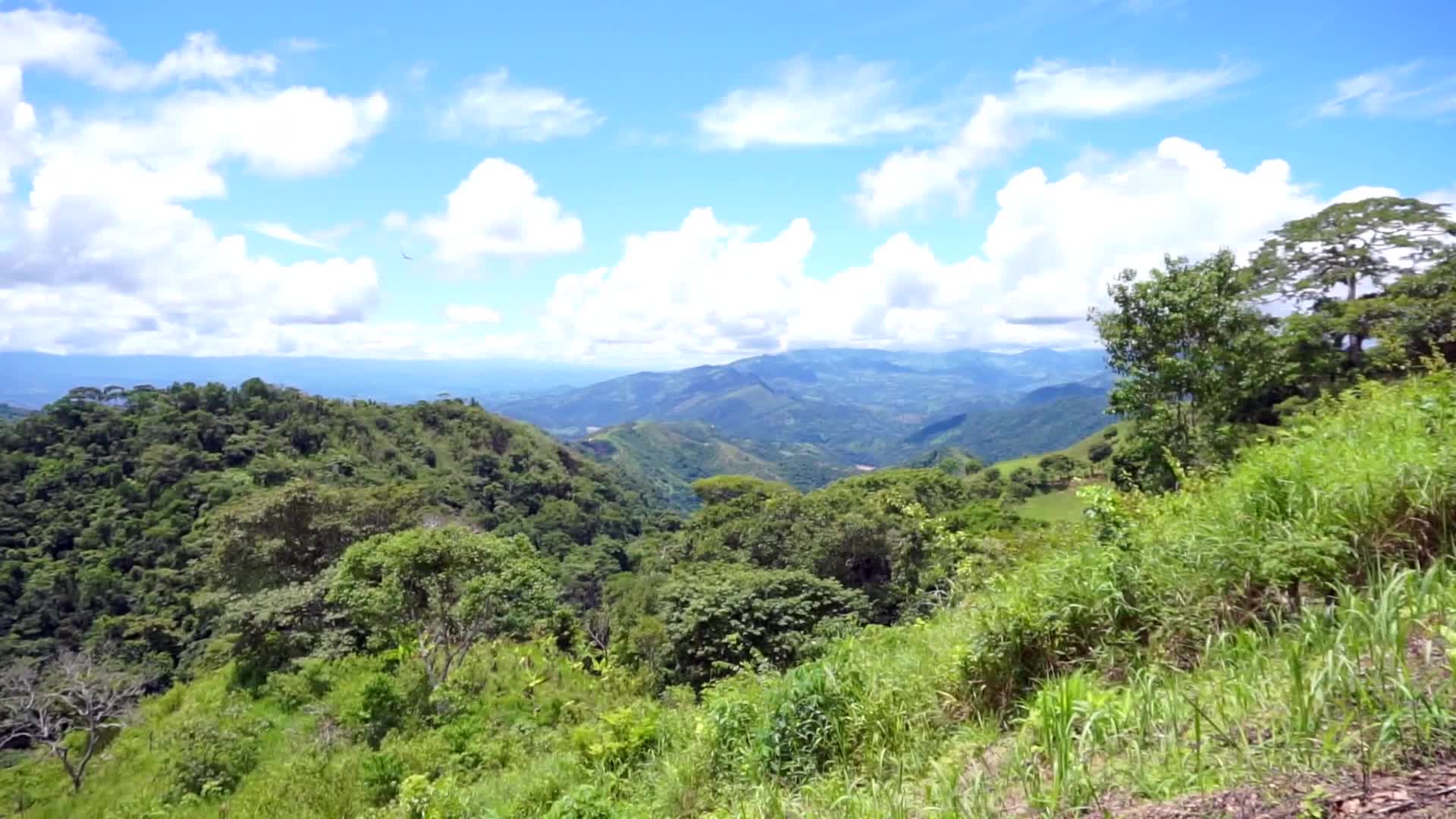 Bosque para nacer agua, un proyecto indígena para mitigar el cambio climático en Costa Rica