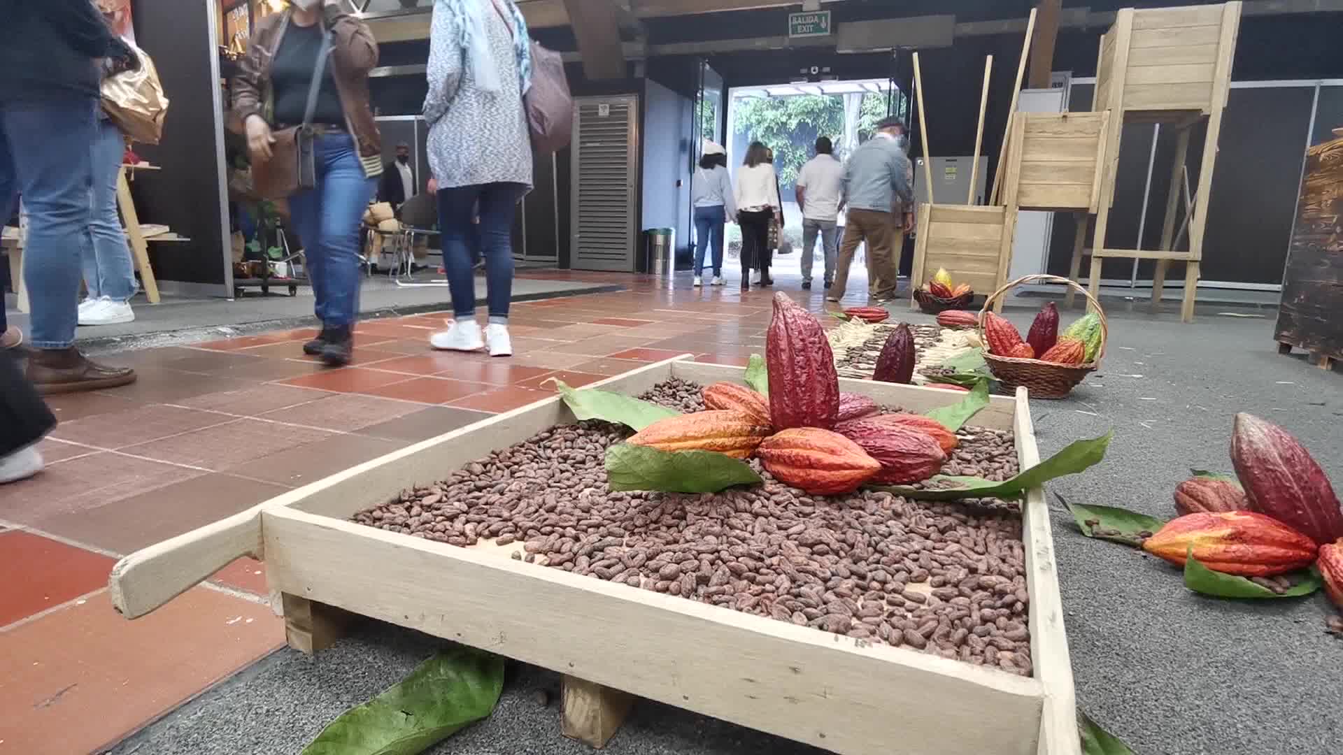 Colombia realiza feria Chocoshow para visibilizar su potencial cacaotero