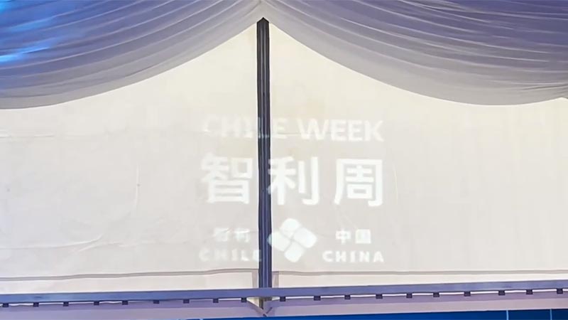 GLOBALink | Reinicio de Chile Week muestra fuerte atractivo de mercado de consumo de China