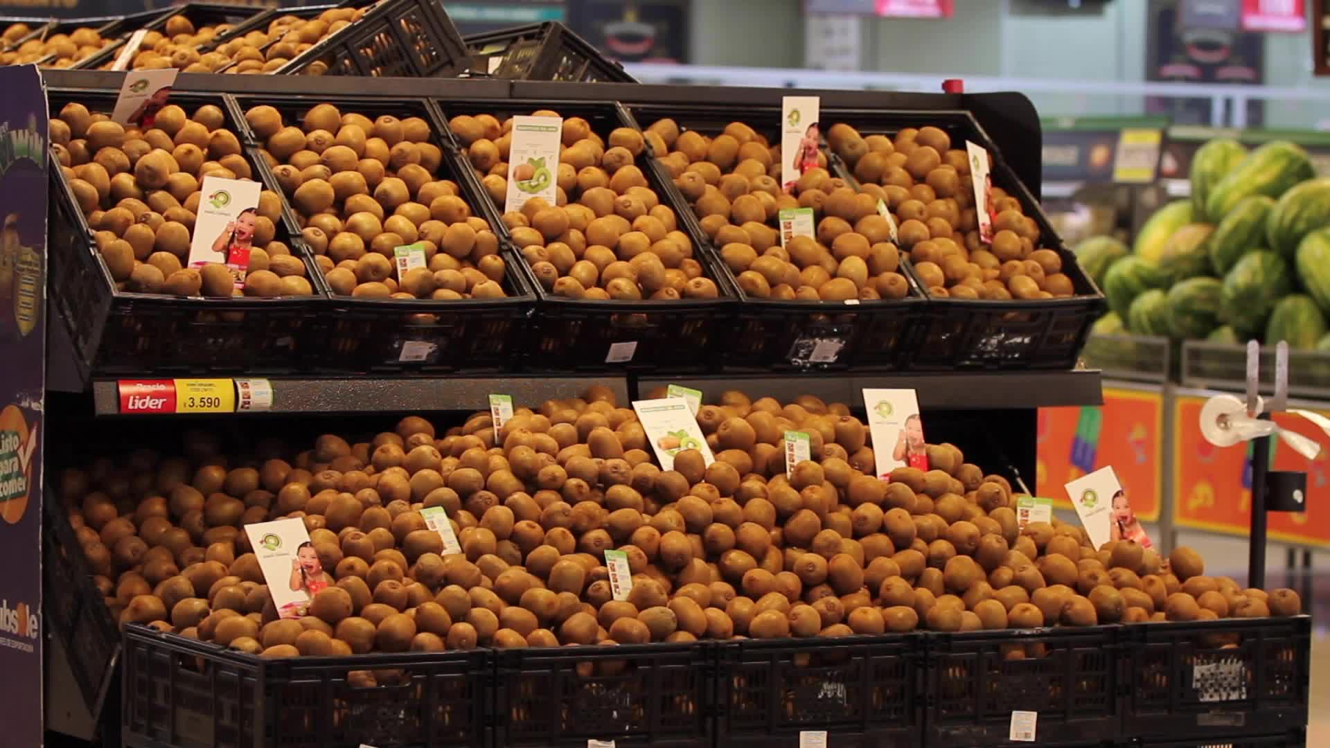Kiwis chinos debutan en el mercado chileno para satisfacer la demanda de frutas de contraestación
