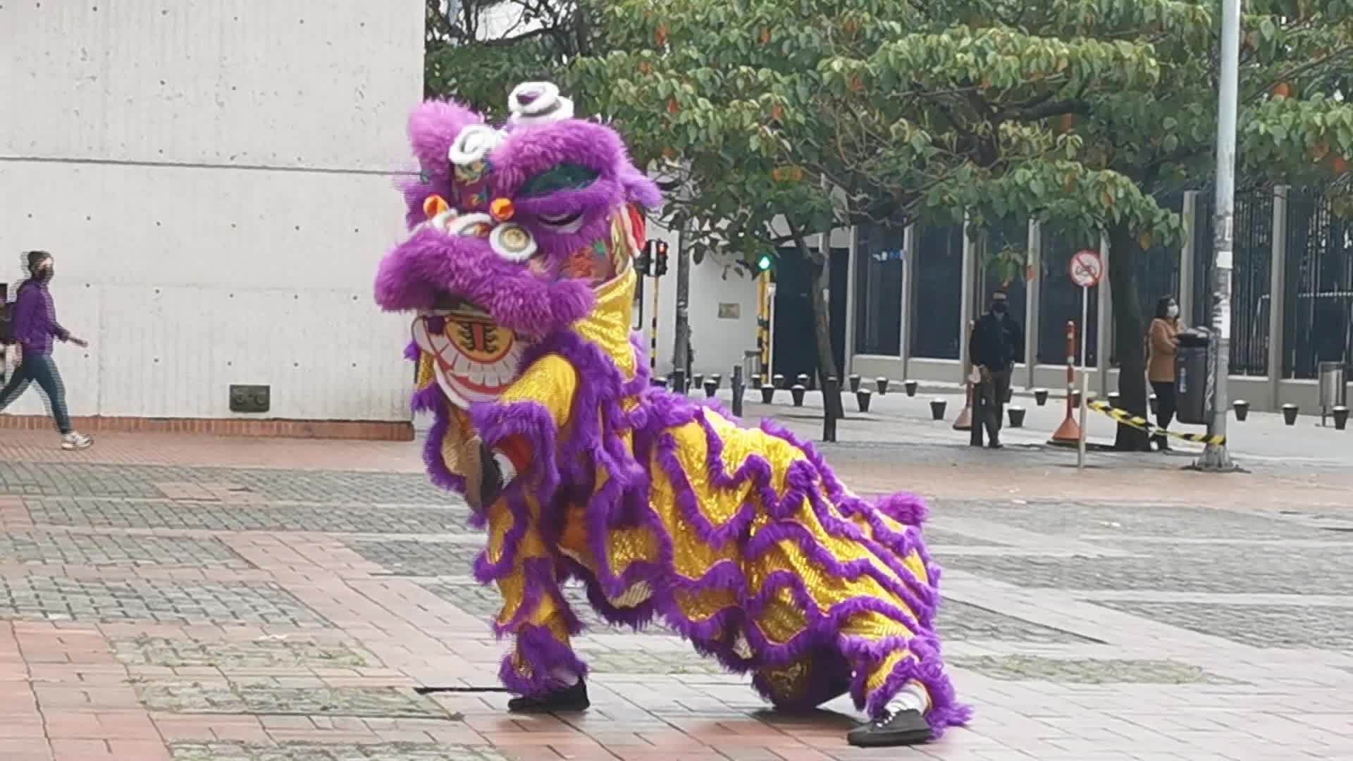 Celebran Año Nuevo Lunar chino en Colombia con danzas del León y del Dragón