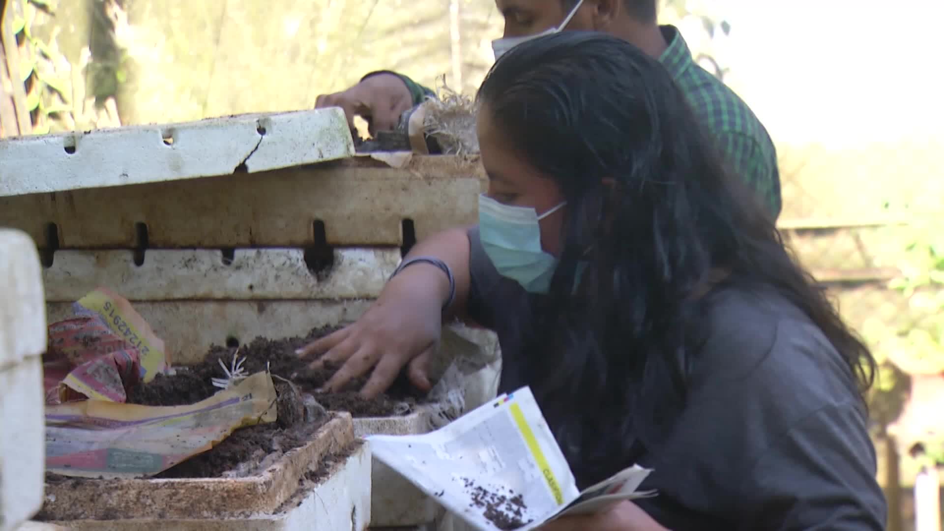 Lombrices ayudan a agricultores salvadoreños a mejorar sus cosechas