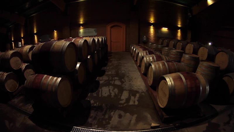 Volumen de vino en bodegas crece 7,2% en Chile en 2021