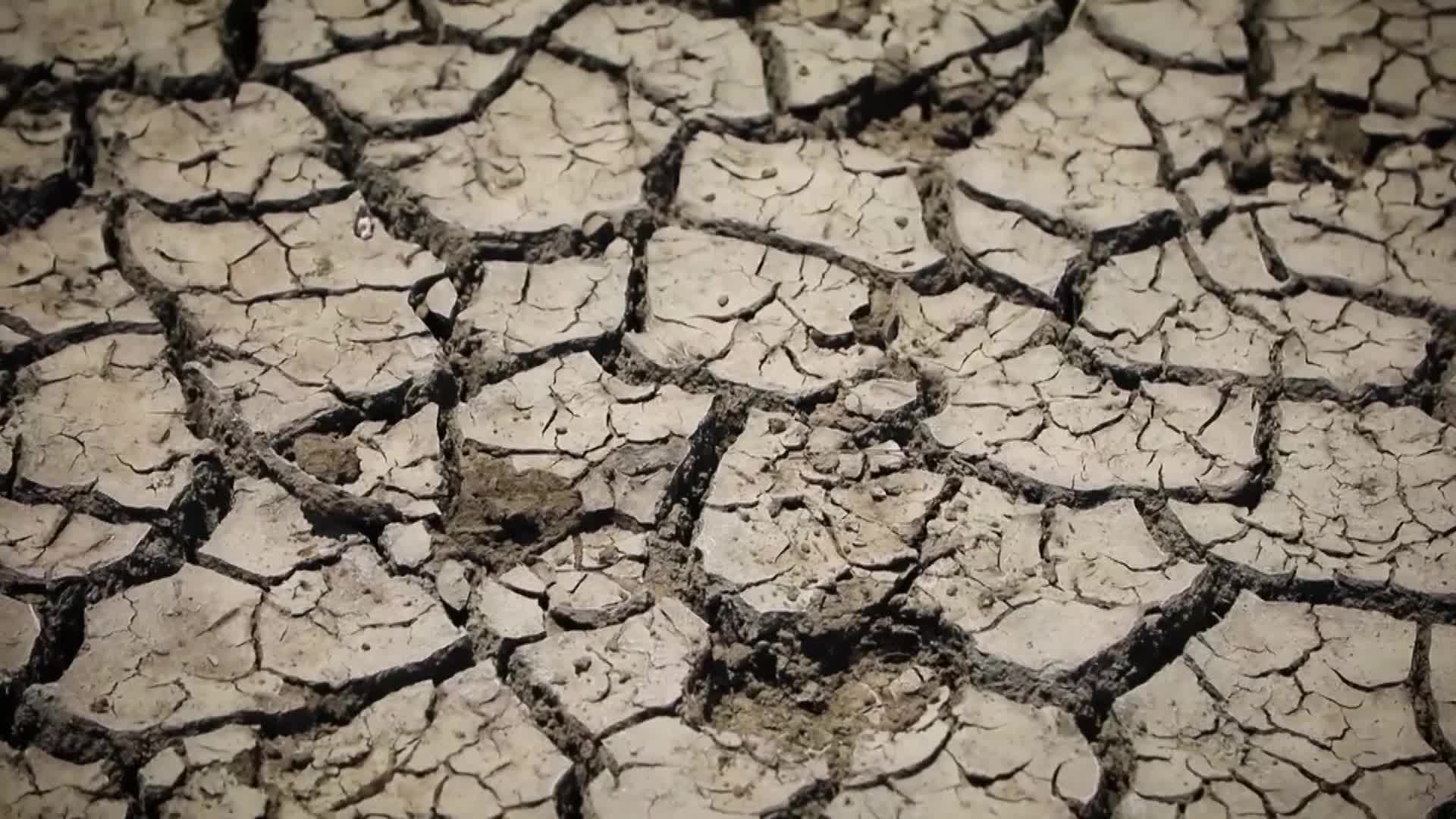 Chile extiende emergencia agrícola en 231 comunas por sequía
