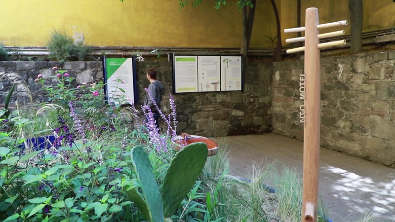 Jardín artístico en museo funge como refugio polinizador en Ciudad de México