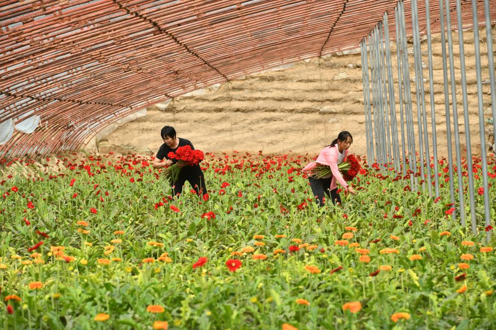 Sector agrícola de China experimenta desarrollo más ecológico, según informe