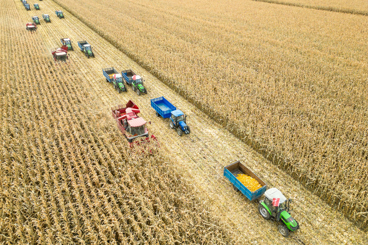 Producción de cereales de China alcanza nivel récord en 2023