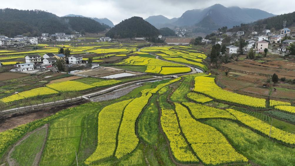 China destina 830 millones de yuanes a apoyar agricultura de primavera