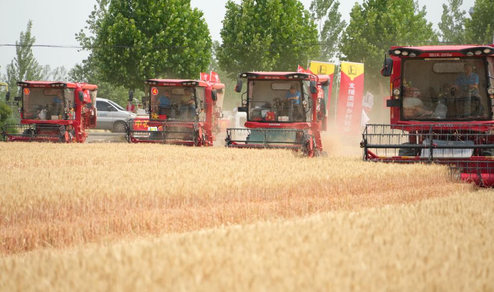 China cosechó más de la mitad del trigo de invierno