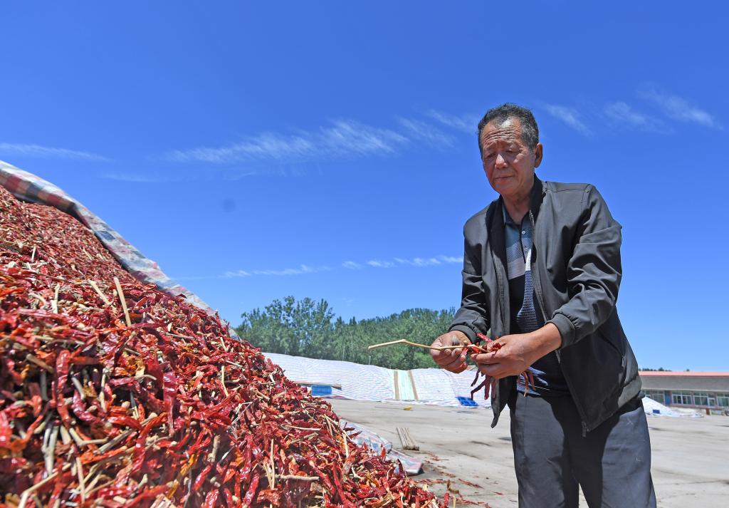 Tianjin: Especialista en chiles establece empresa para apoyar industria local de chiles