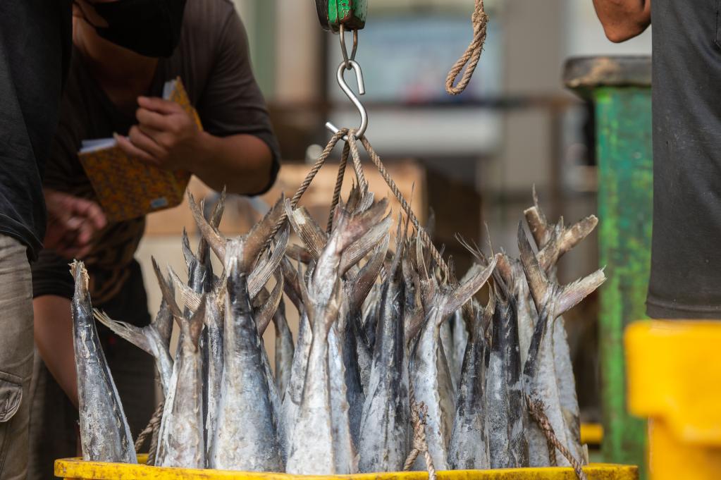 Mercado de pescados Muara Baru en Yakarta, Indonesia