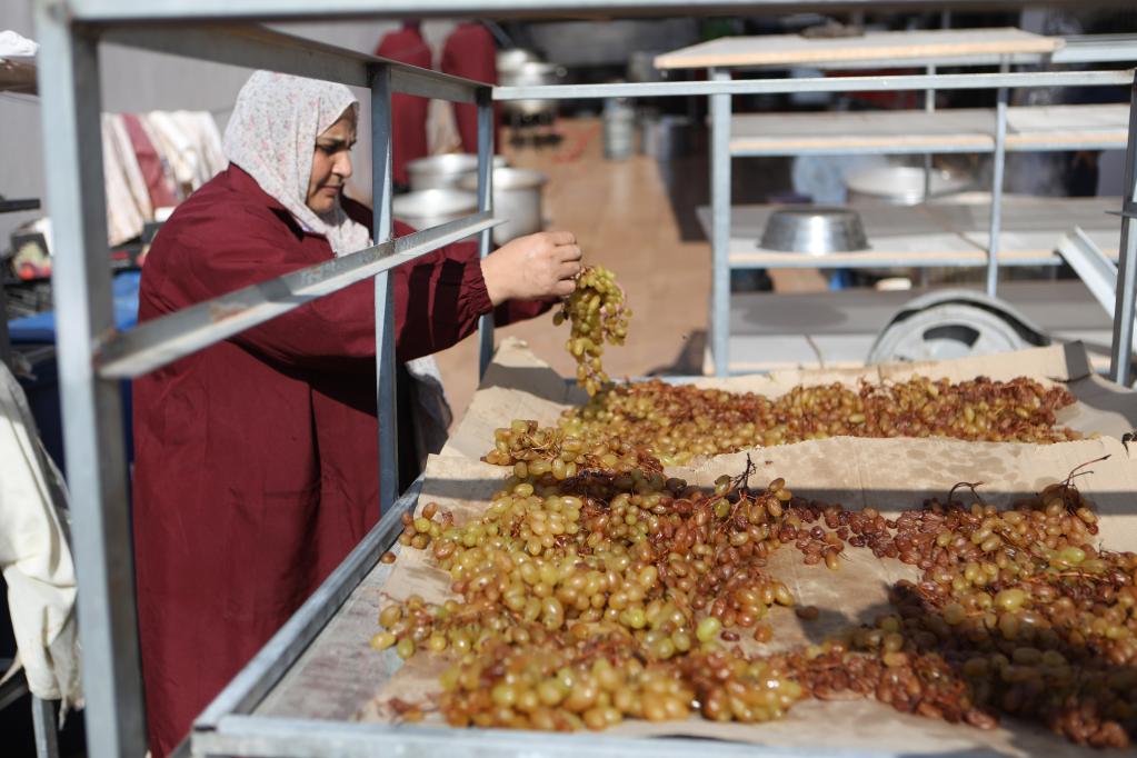 Mujeres trabajan en Asociación Cooperativa Dora para la Agricultura Industrial en aldea cisjordana de Dura