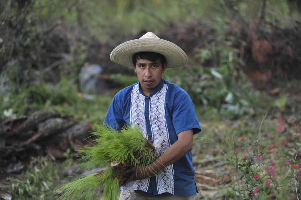 Personas realizan labores de reforestación en las faldas del volcán La Malinche en Tlaxcala, México