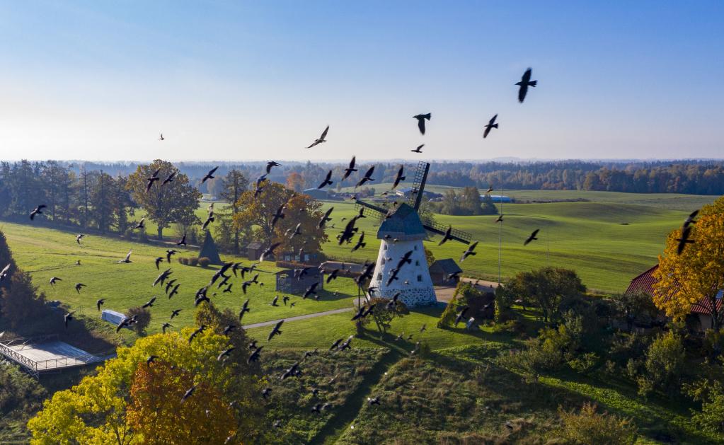 Letonia: Paisaje de otoño en Cesis