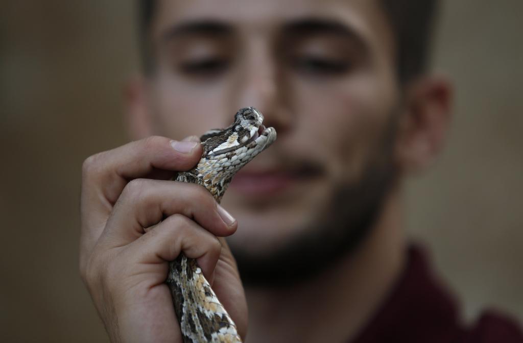 Joven palestino y serpientes en su casa