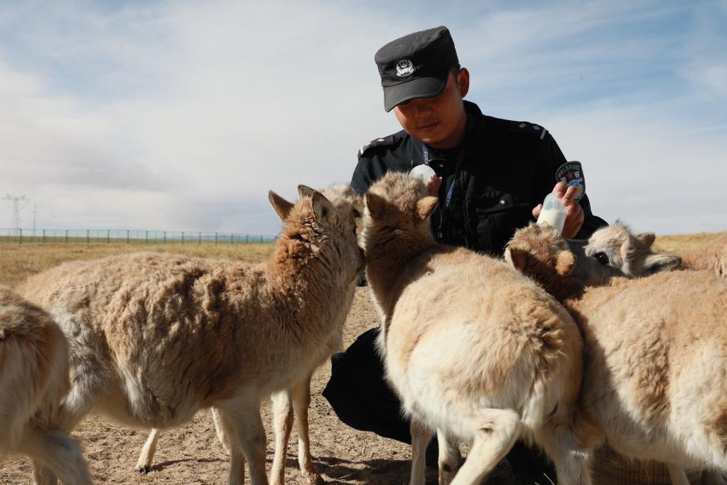 Qinghai: Estación de Protección Sonam Dargye en Hoh Xil