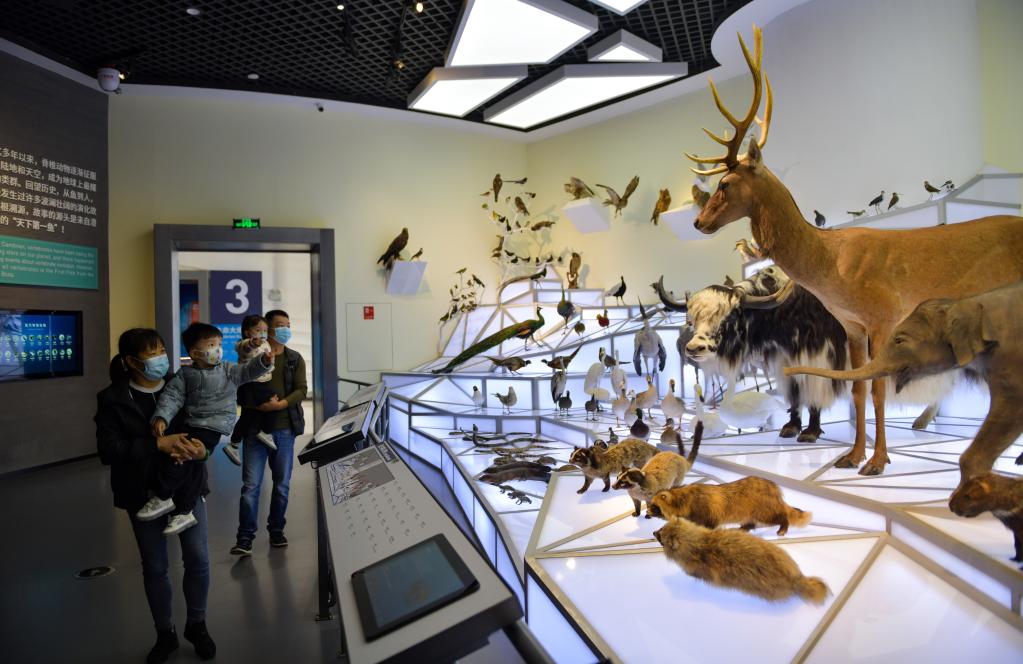 Museo de Fósiles de Chengjiang en Yunnan