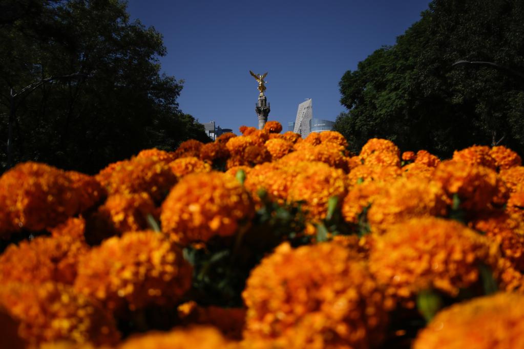 La Ciudad de México adornada con flores de cempasúchil