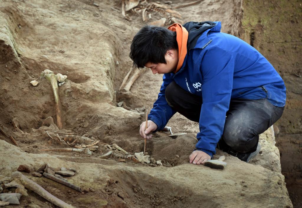 Henan: Excavación en sitio de aldea de Yangshao