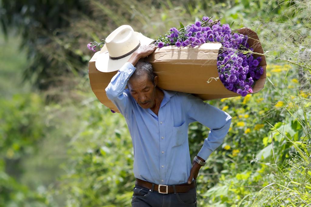 Honduras: Campesinos preparan ramos de flores en aldea El Piligüin