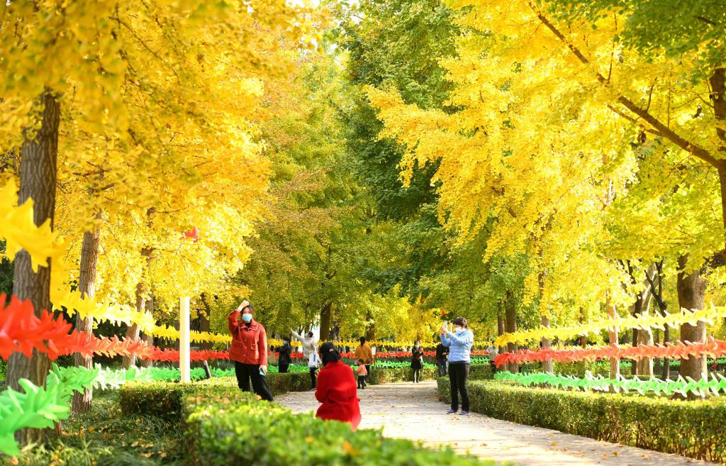 Hebei: Paisaje otoñal en Parque Haishan