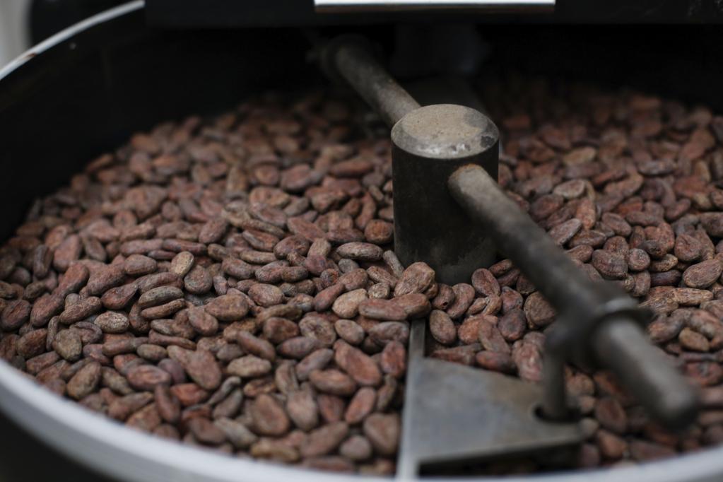 ESPECIAL: Pequeños productores indígenas mexicanos buscan agasajar paladares chinos con cacao en la CIIE