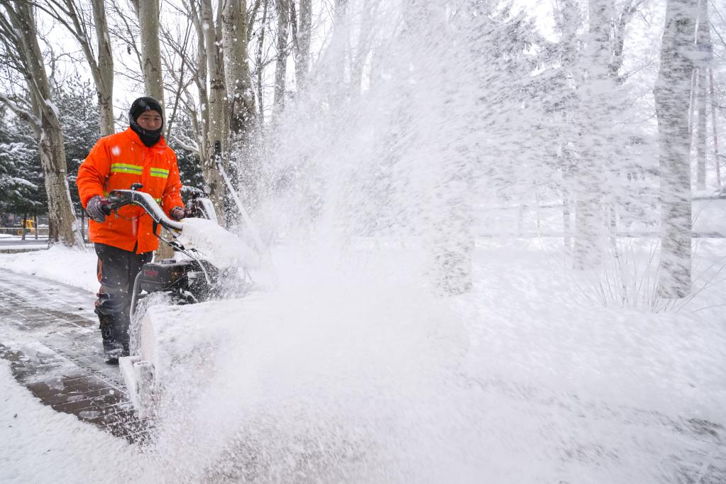 Ventisca persistente trae nevadas récord en noreste de China