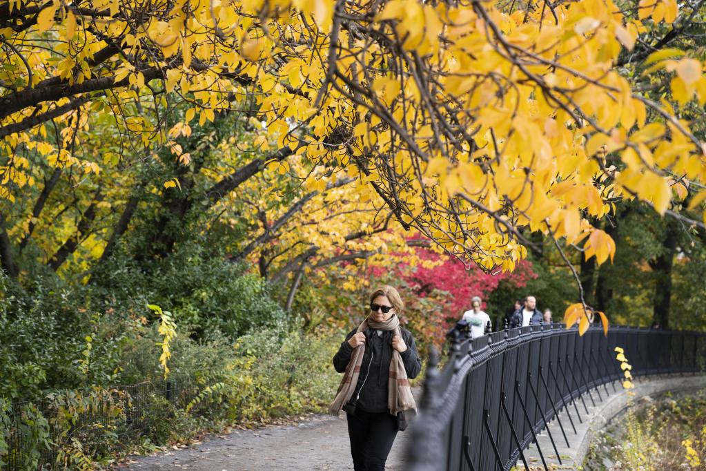 Paisaje de otoño en Central Park en Nueva York, Estados Unidos