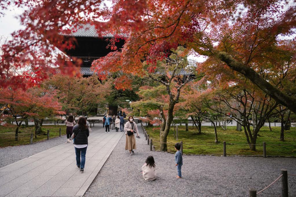 Paisaje de otoño en Kioto, Japón