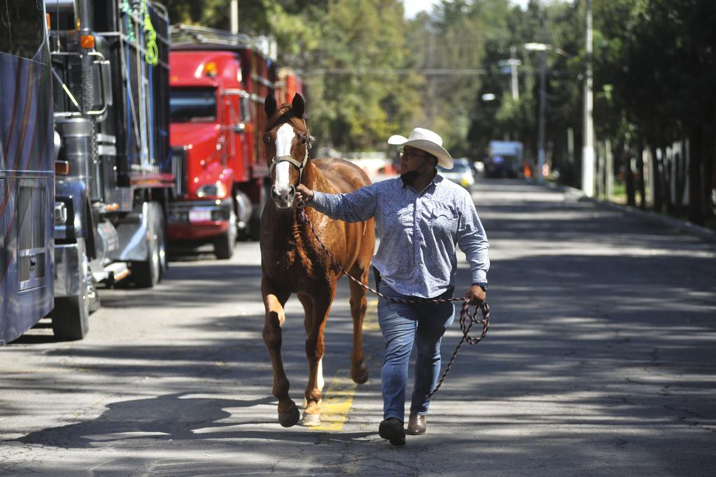 "Tlaxcala a Caballo" prepara caballos para participar en desfile Cívico Militar del 20 de noviembre