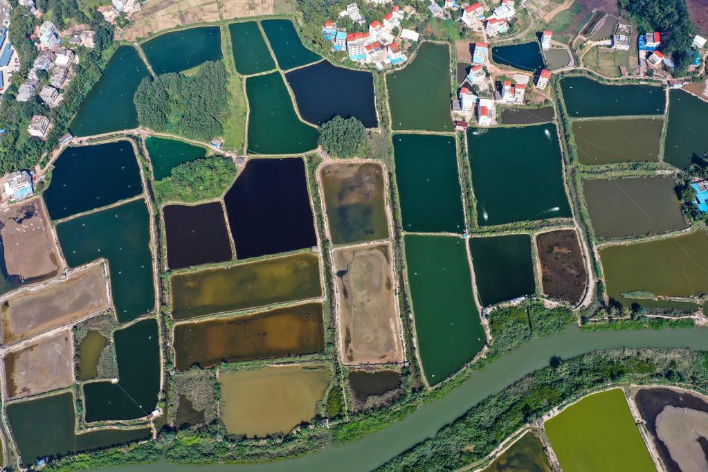 Vista aérea del paisaje de Qinzhou, Guangxi