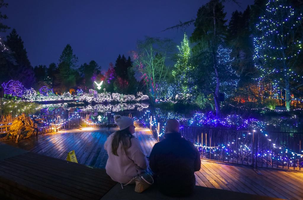 "Festival de Luces" en Jardín Botánico VanDusen en Vancouver, Canadá