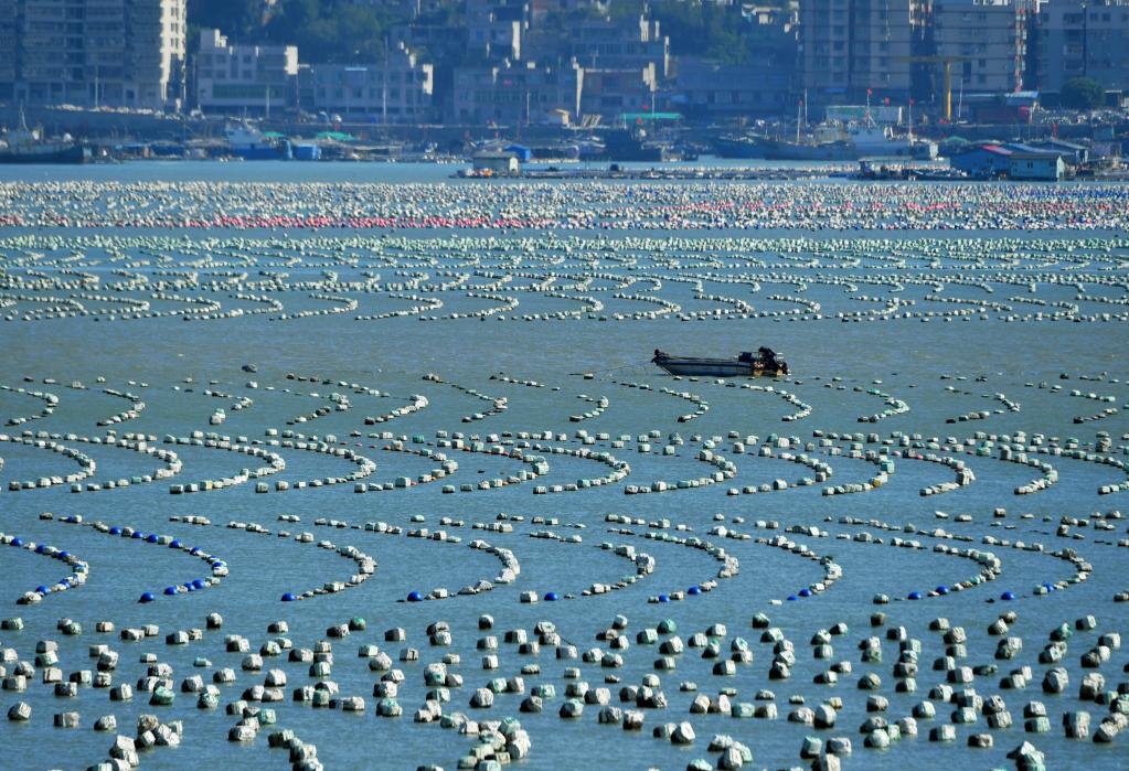 Zona de cultivo acuícola en Lianjiang, Fujian