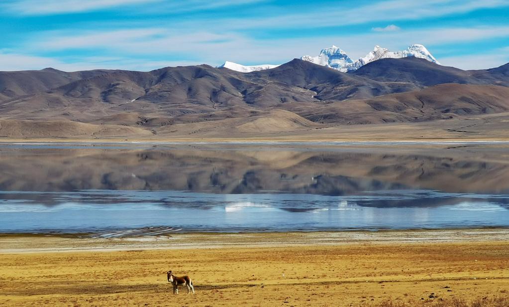 Tíbet: Paisaje invernal del lago Zhegu en Shannan