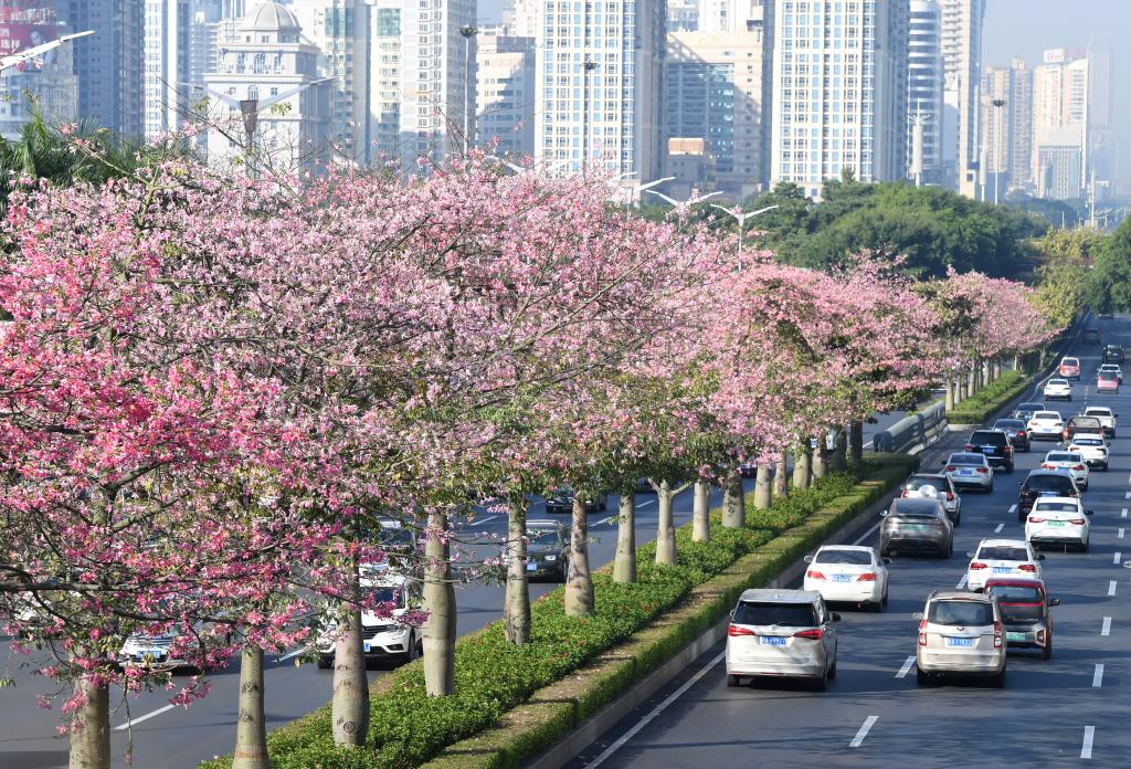 Guangxi: Flores a lo largo de la calle en Nanning