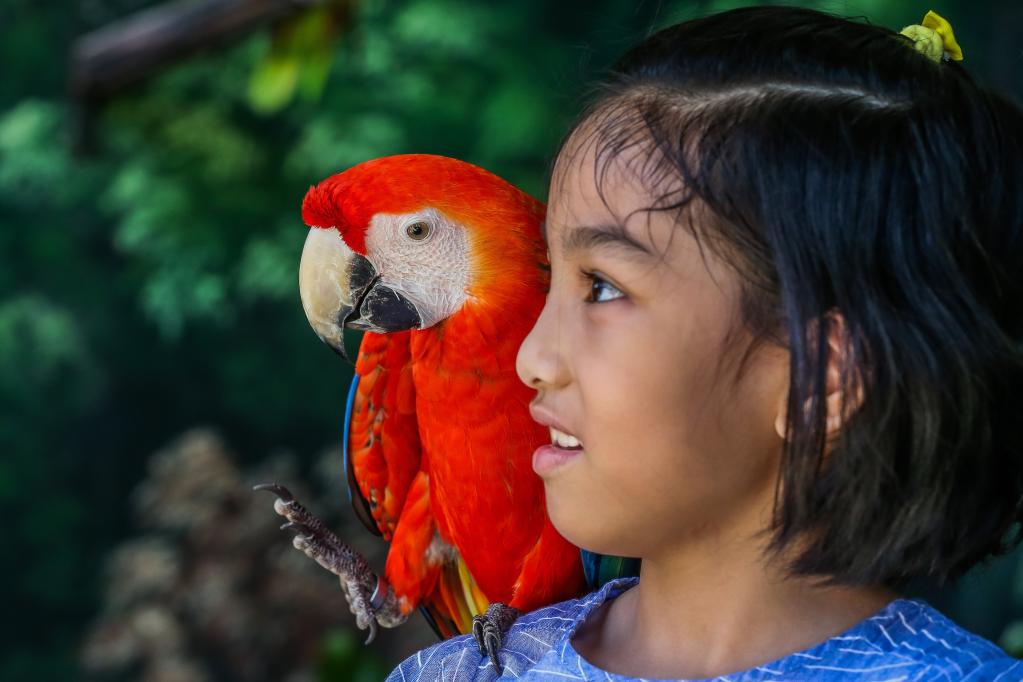 Personas visitan Safari y Parque de Aventuras de Clark en Filipinas