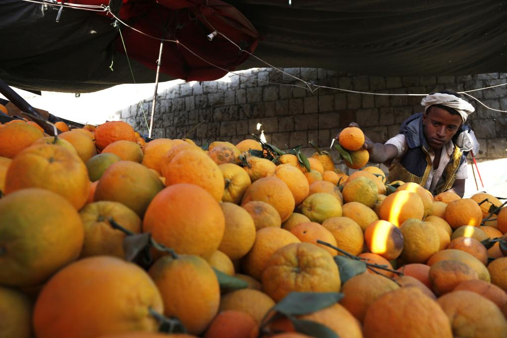 Naranjas cosechadas en puesto de frutas en Saná, Yemen