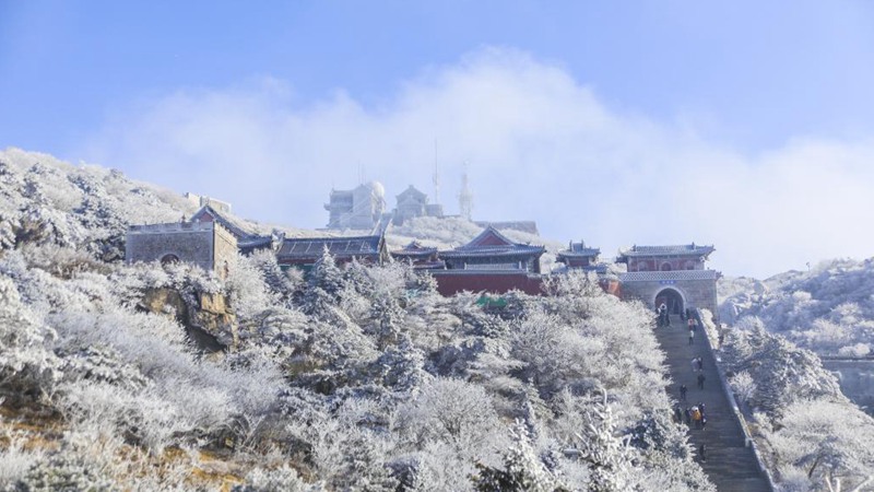 Shandong: Árboles cubiertos de escarcha en la montaña Taishan