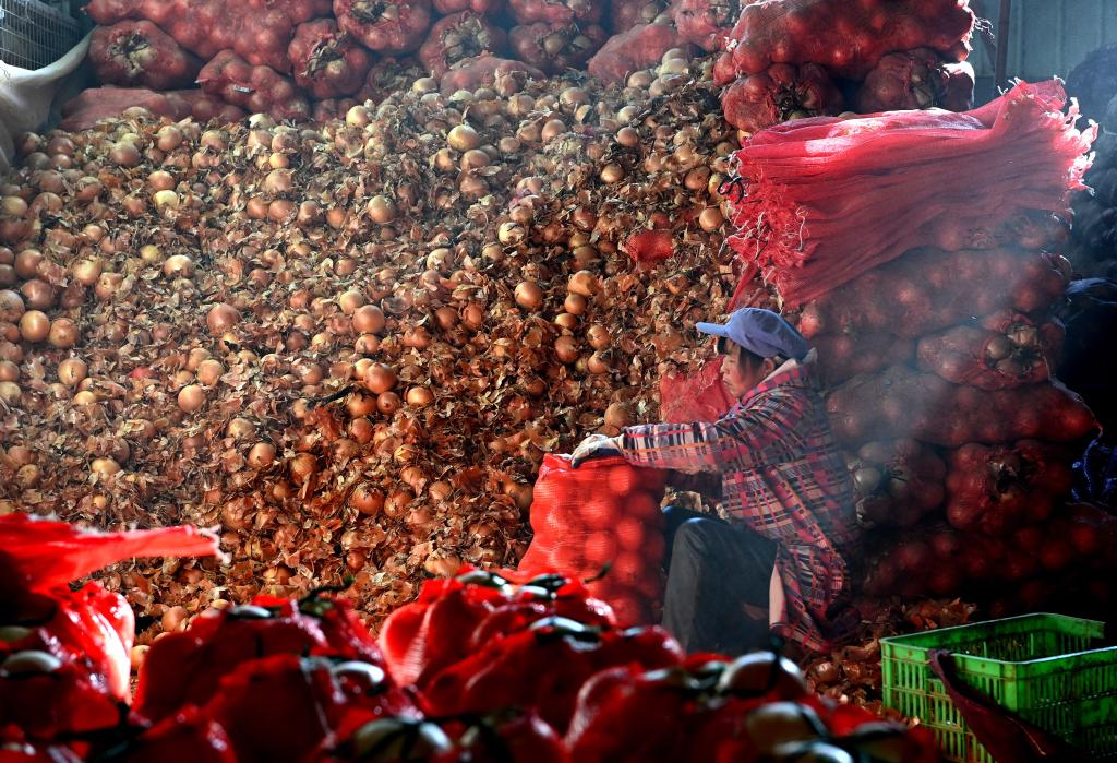 Xi'an hace esfuerzos para garantizar suministro de vegetales en medio de pandemia de COVID-19 en curso