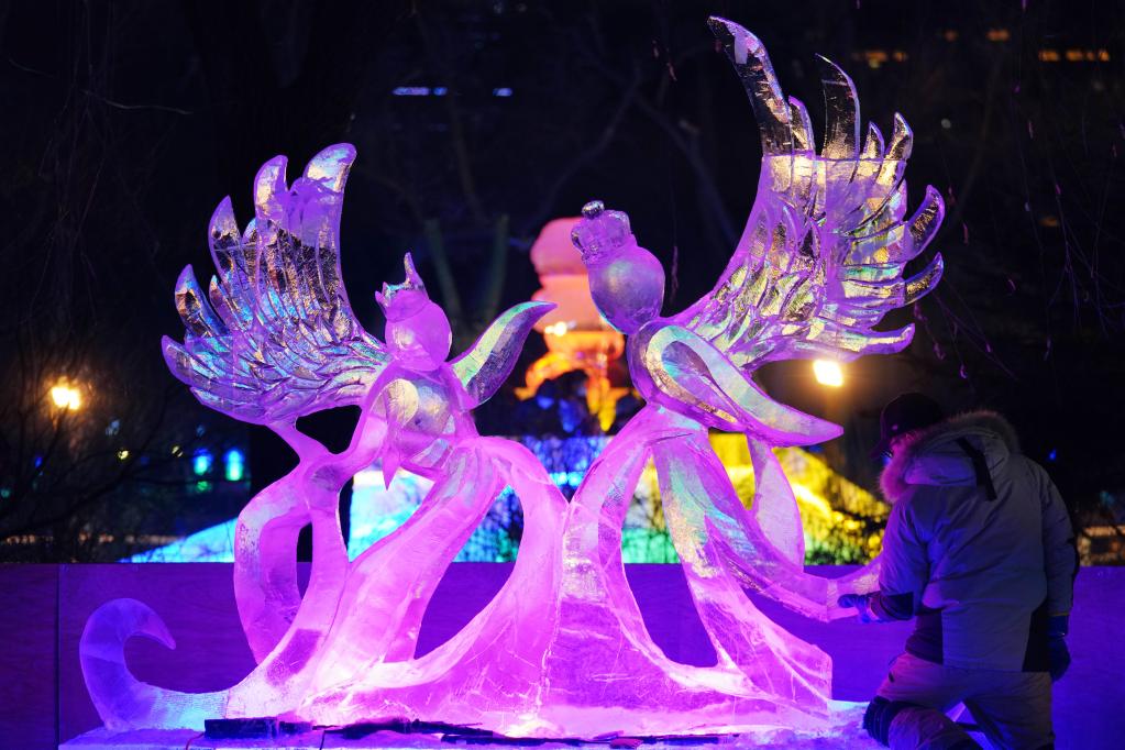 Competencia nacional de escultura de hielo profesional en Harbin