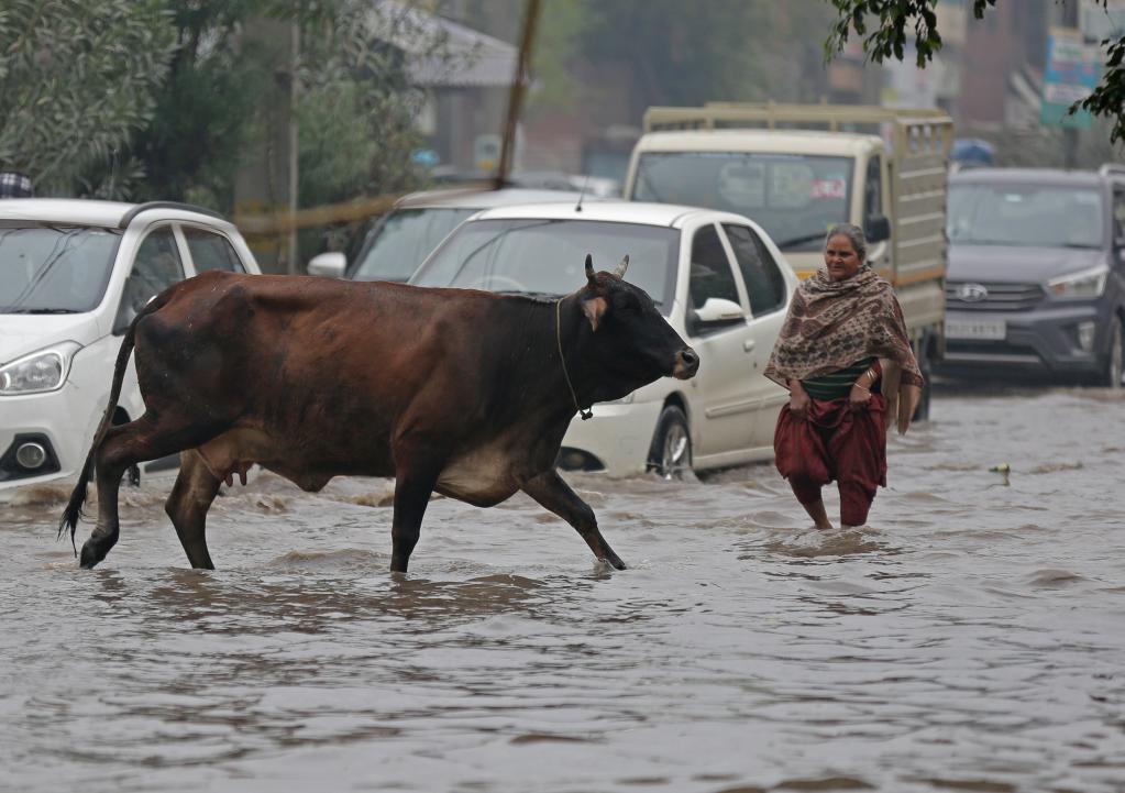 Calle anegada tras fuertes lluvias en Punjab, India