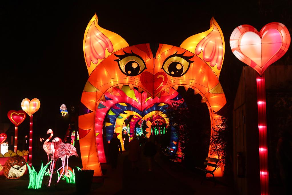 Sexta edición de festival de luces de China con tema "Alicia en el País de las Maravillas" en Zoológico de Amberes, Bélgica