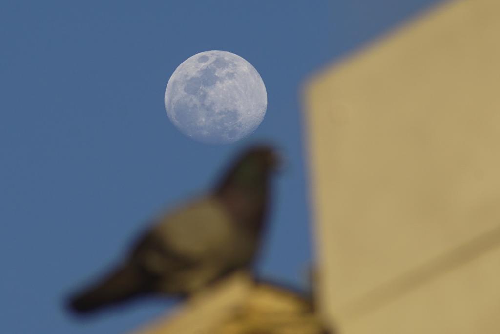 Luna durante atardecer sobre departamento de San Salvador, El Salvador