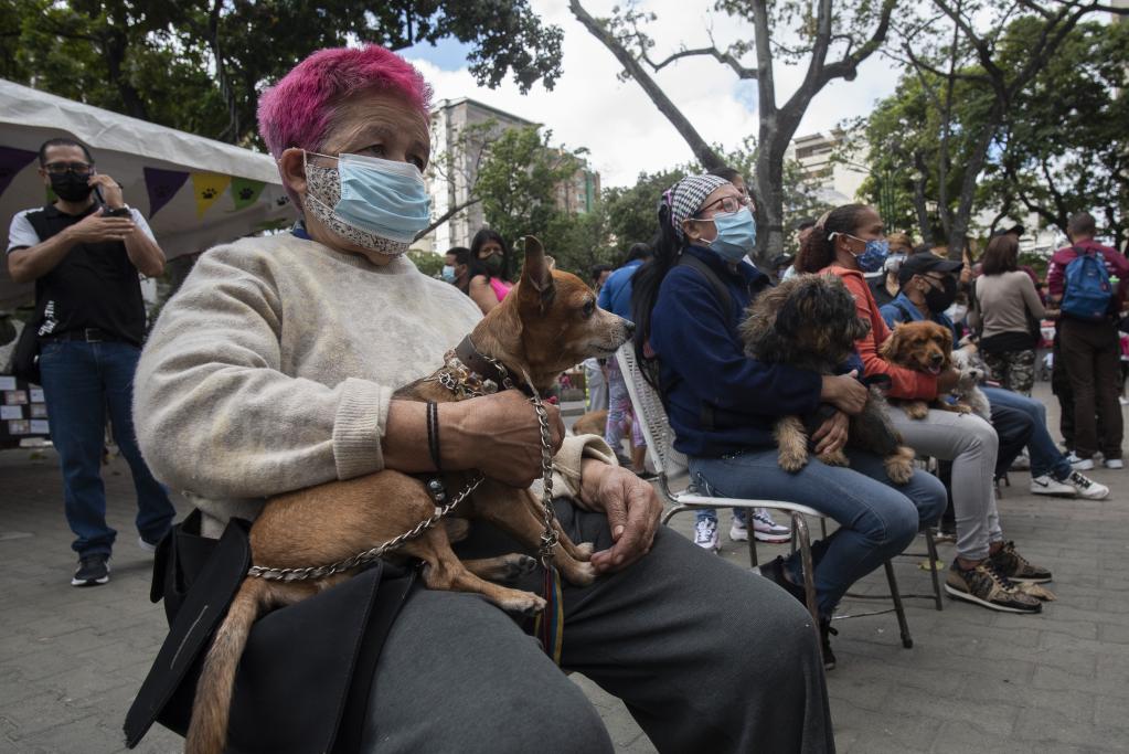 Jornada de atención veterinaria y adopción de mascotas en Caracas, Venezuela