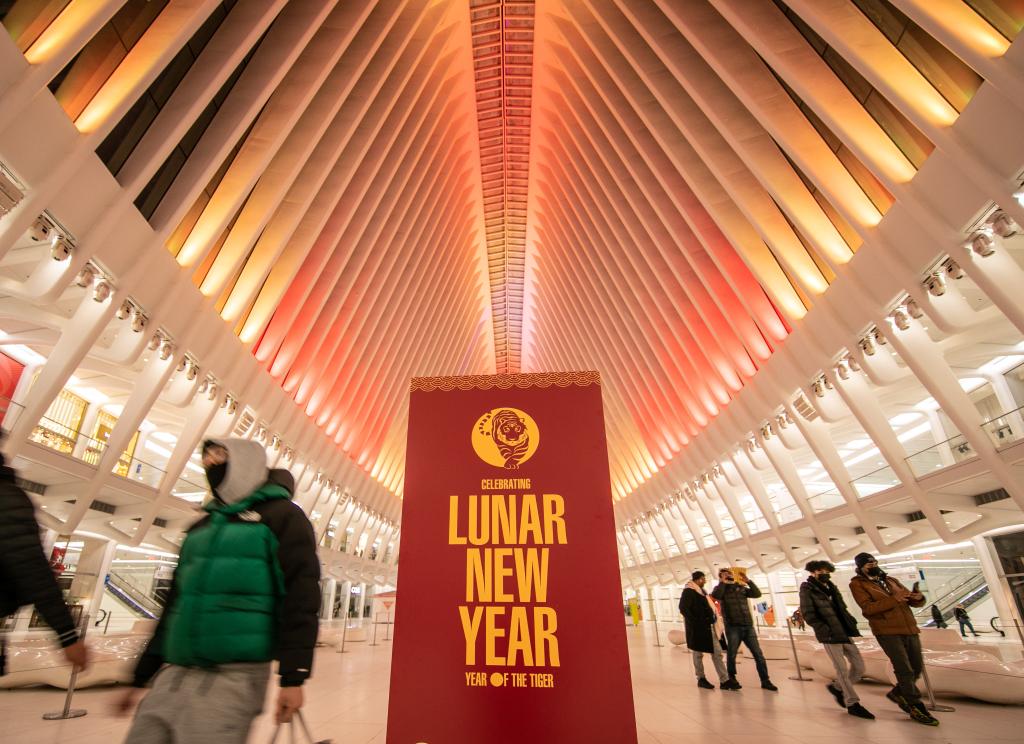 Luces luminosas para el Año Nuevo Lunar chino en Nueva York, Estados Unidos