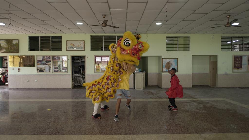Panamá: Grupo de Danza del León de La Chorrera practica para celebración del Año Nuevo Lunar chino