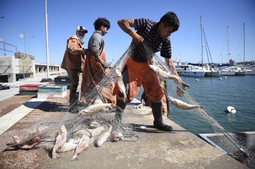 Vida cotidiana de pescadores en el puerto de Piriápolis, Uruguay
