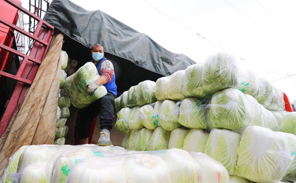Shanghai: Comerciantes garantizan abastecimiento de hortalizas para residentes durante Festival de Primavera