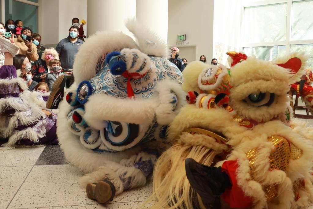 Se llevan a cabo presentaciones y actividades en Museo de los Niños de Houston para celebrar Año Nuevo Lunar chino